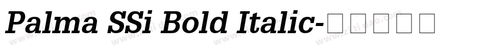 Palma SSi Bold Italic字体转换